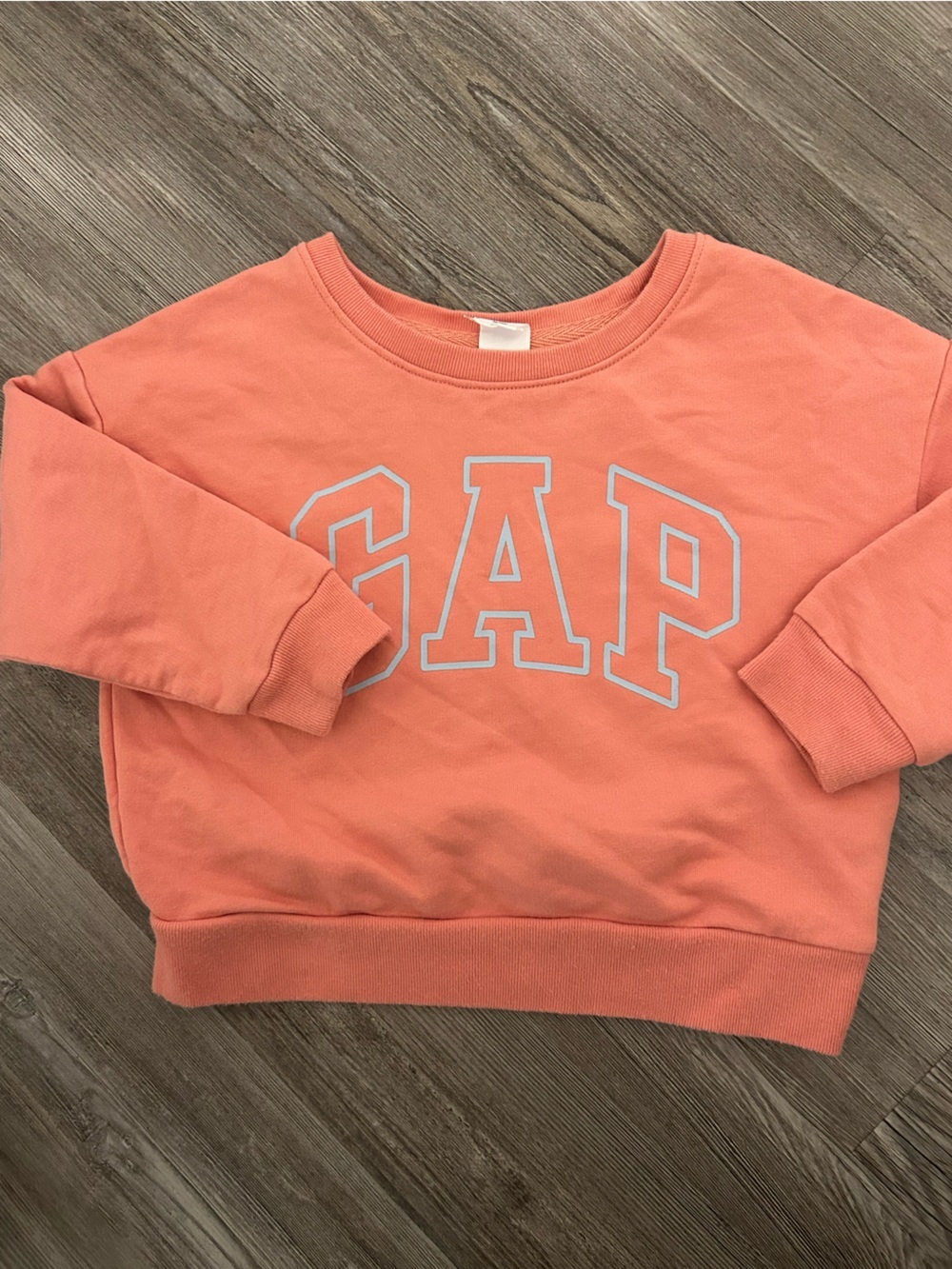 GAP Kids Coral Logo Sweatshirt